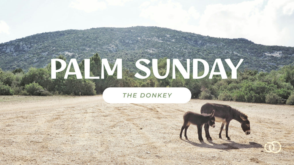 Palm Sunday – The Donkey
