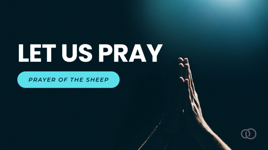 Prayer of the Sheep